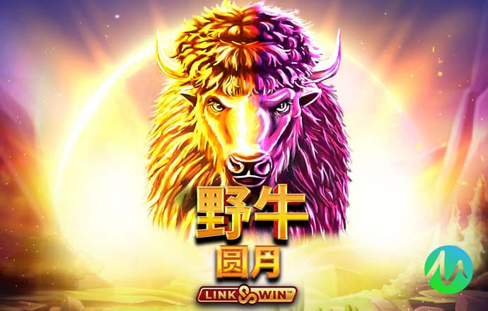 巴沙体育
